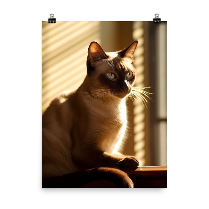 Siamese in Sunlit Splendor Photo paper poster - PosterfyAI.com