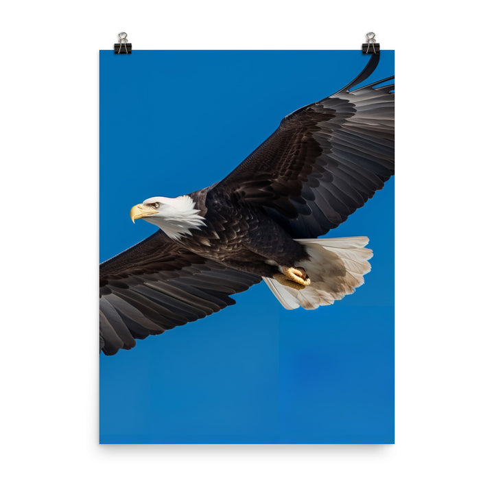 Beautiful Bald Eagle in Flight Against the Blue Sky Photo paper poster - PosterfyAI.com