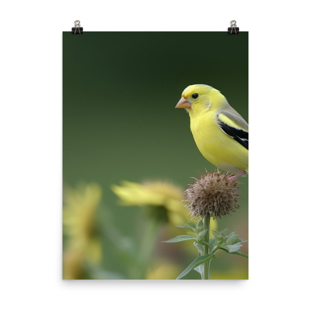 American Goldfinch in the Garden Photo paper poster - PosterfyAI.com