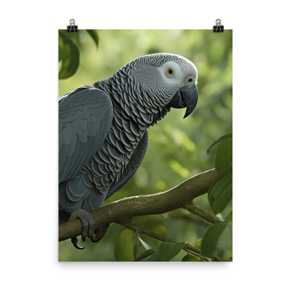 African Grey Parrot in Natural Habitat Photo paper poster - PosterfyAI.com