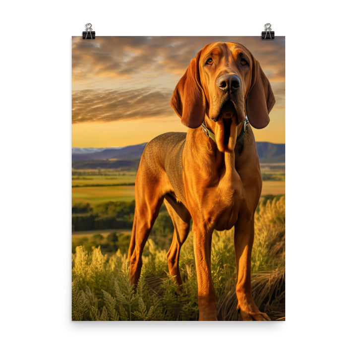 Bloodhound Portrait Photo paper poster - PosterfyAI.com