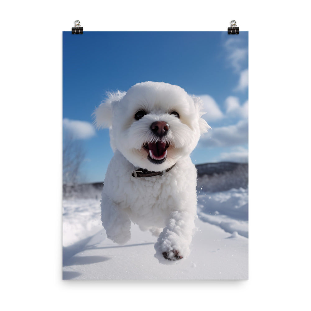 Bichon Frise in the Snow Photo paper poster - PosterfyAI.com