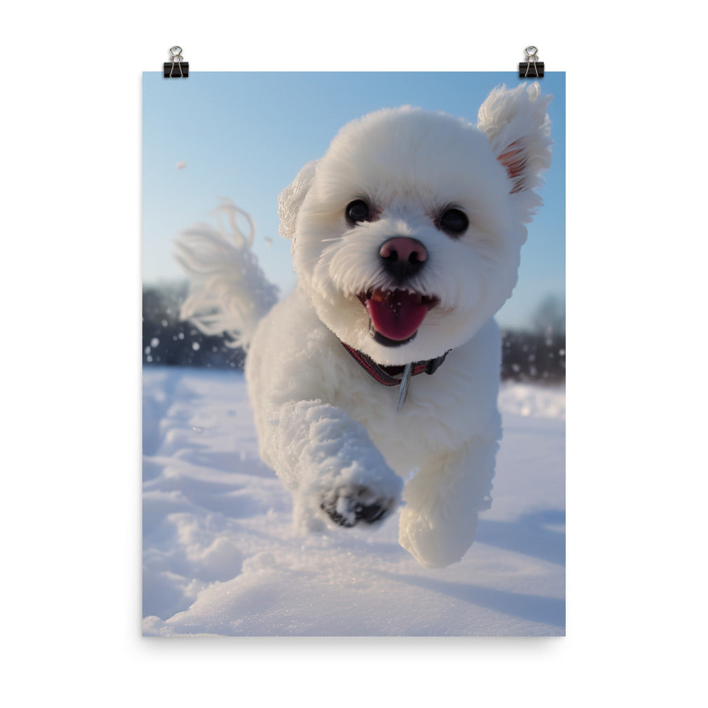 Bichon Frise in the Snow Photo paper poster - PosterfyAI.com