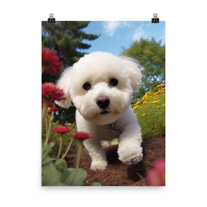 Bichon Frise in a Garden Photo paper poster - PosterfyAI.com