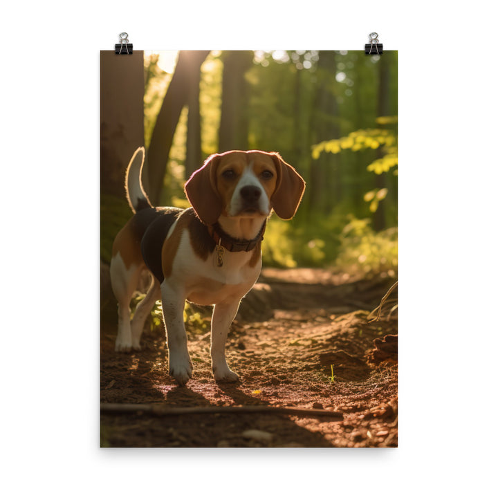 Beagle on the scent Photo paper poster - PosterfyAI.com