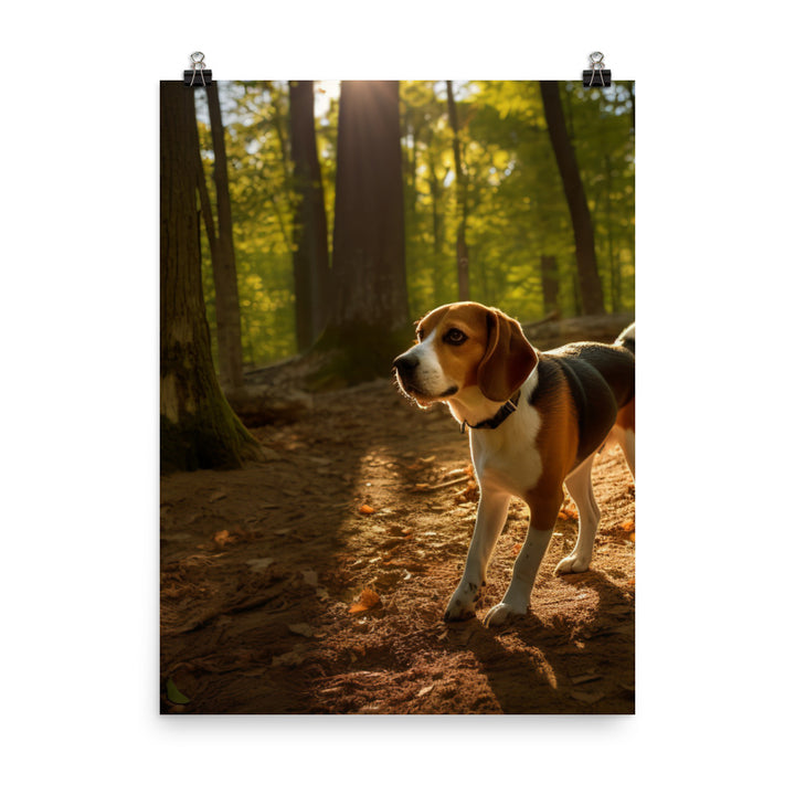 Beagle on the scent Photo paper poster - PosterfyAI.com