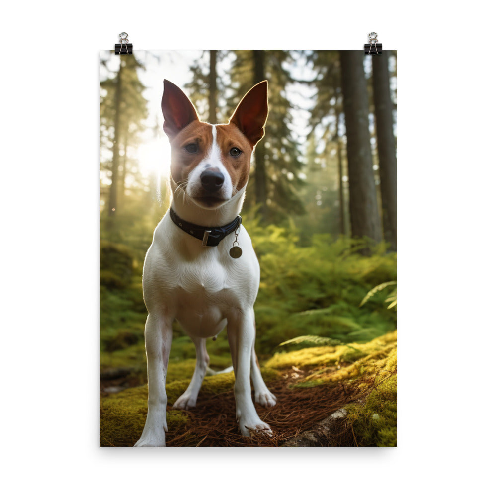Basenji in Nature Photo paper poster - PosterfyAI.com