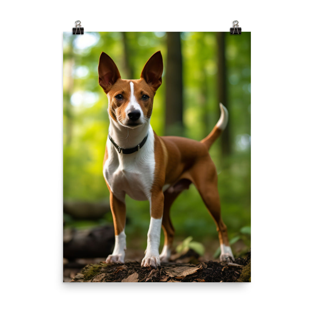 Basenji in Nature Photo paper poster - PosterfyAI.com