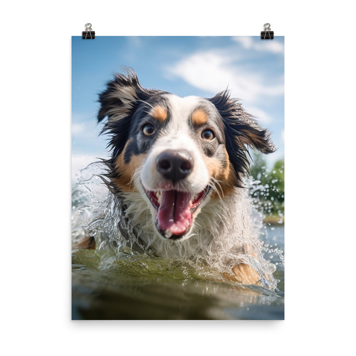 Australian Shepherd playing Photo paper poster - PosterfyAI.com