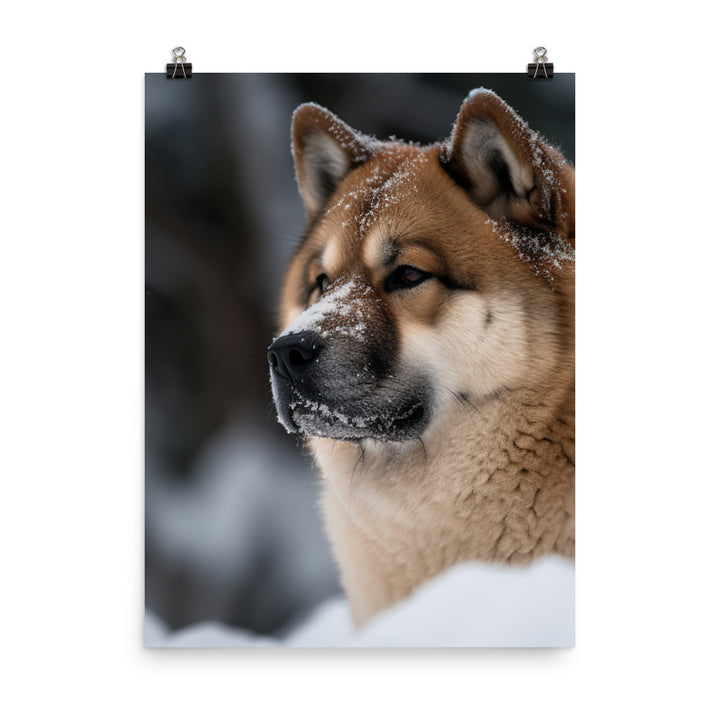 Akita in the Snow Photo paper poster - PosterfyAI.com