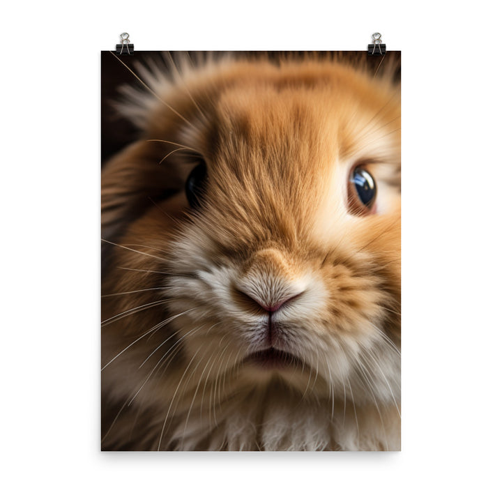 American Fuzzy Lop Photo paper poster - PosterfyAI.com