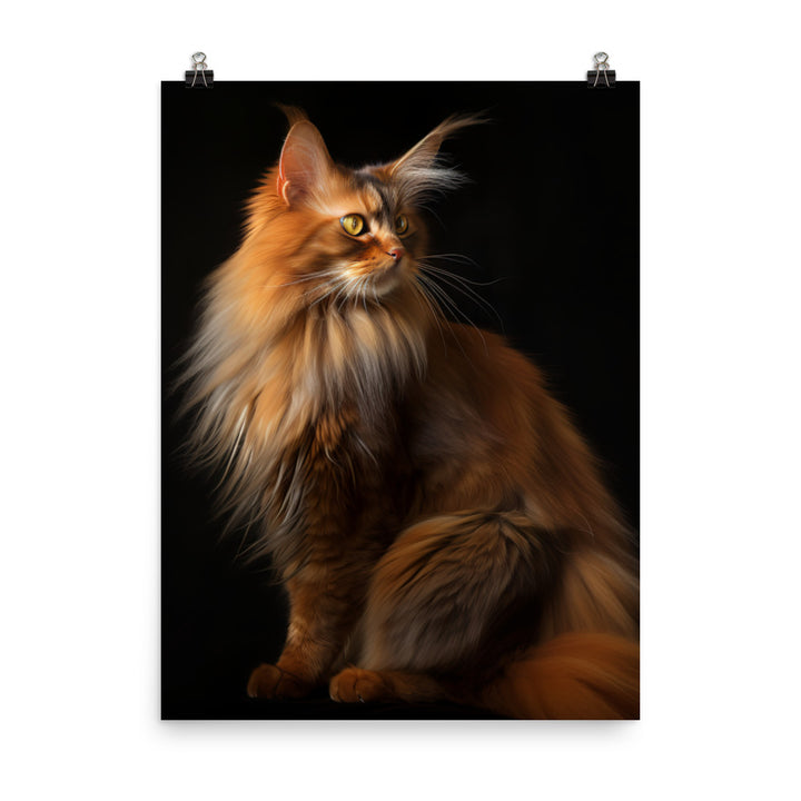 Beauty of Somali Cat Photo paper poster - PosterfyAI.com
