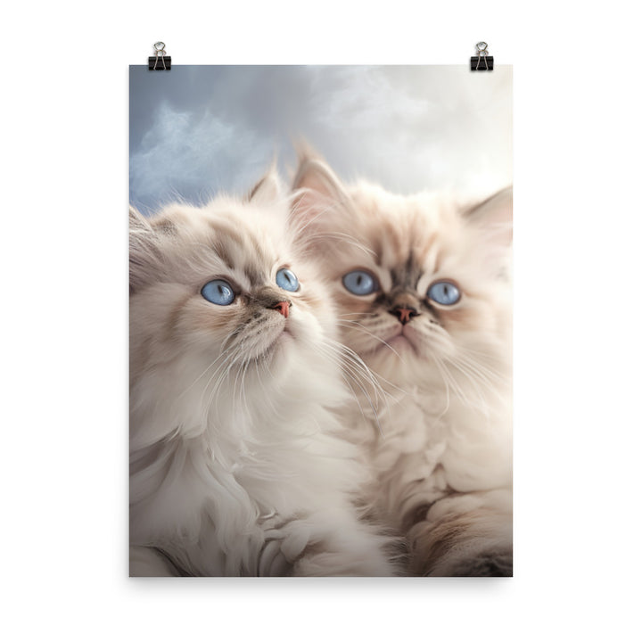 Serene World of Himalayan Kittens Photo paper poster - PosterfyAI.com