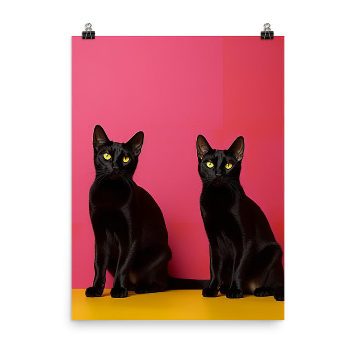 Striking Contrast of Bombay Cat Photo paper poster - PosterfyAI.com