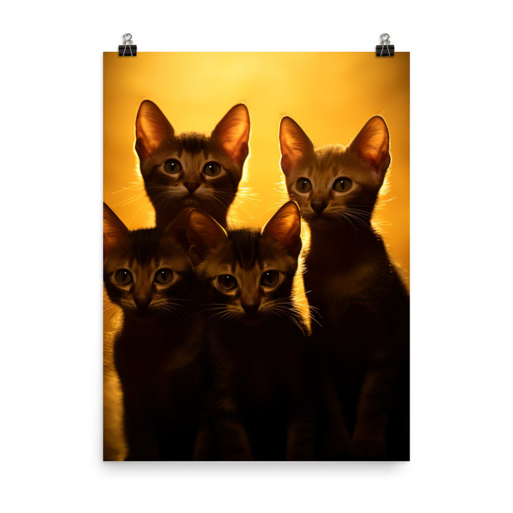 Bombay Kittens Photo paper poster - PosterfyAI.com