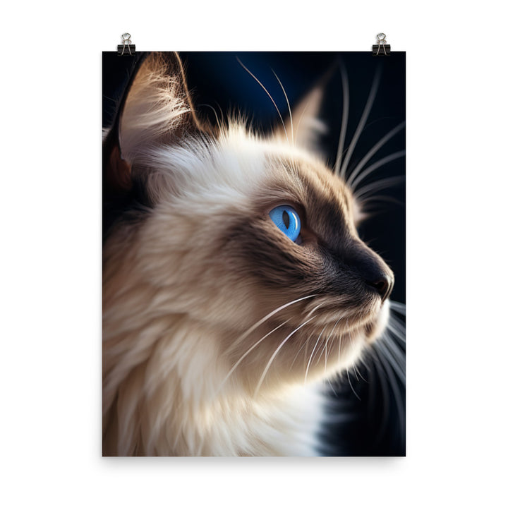 Birman Cat Photo paper poster - PosterfyAI.com