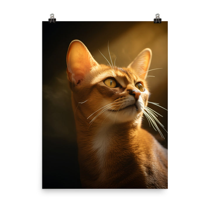 Abyssinian Cat Photo paper poster - PosterfyAI.com