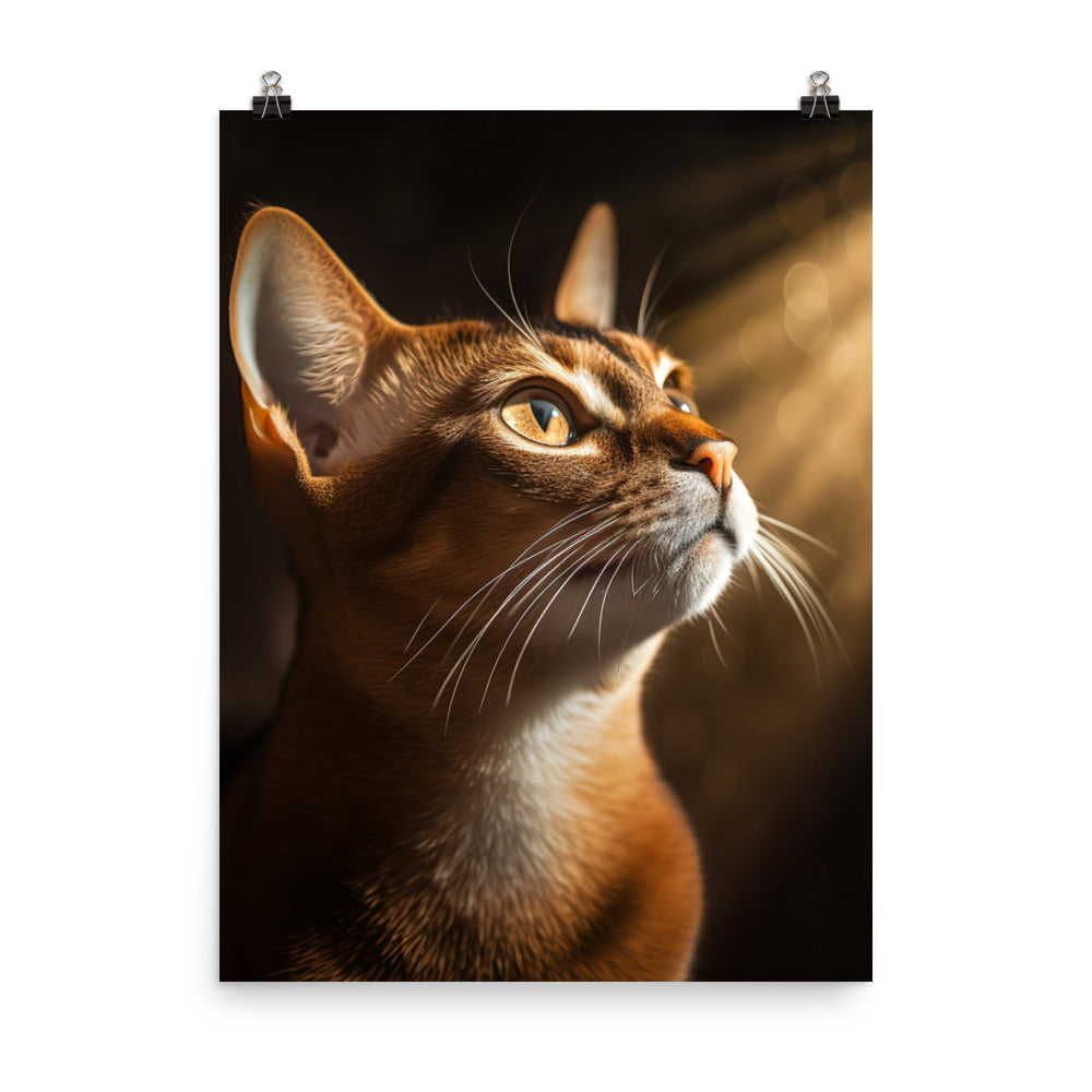 Abyssinian Cat Photo paper poster - PosterfyAI.com