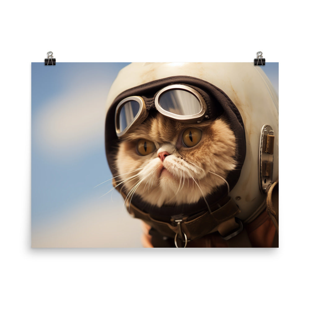 Exotic Shorthair Pilot Photo paper poster - PosterfyAI.com