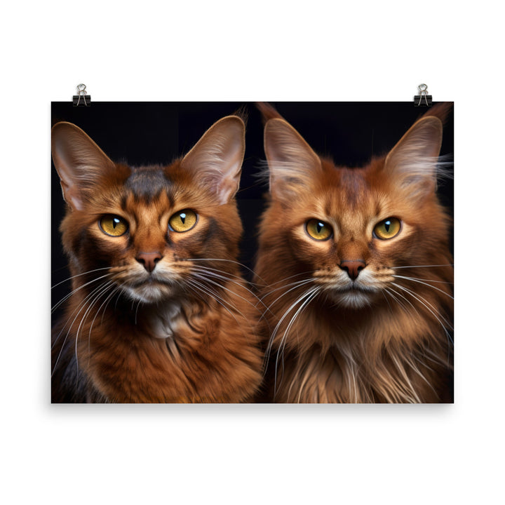 Somali Photo paper poster - PosterfyAI.com