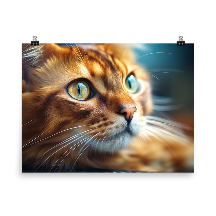 Somali Photo paper poster - PosterfyAI.com