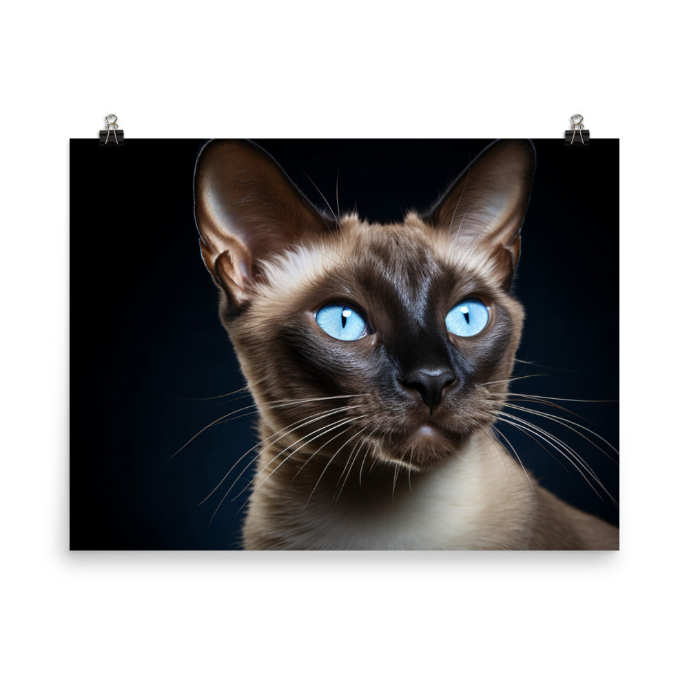 Tonkinese Photo paper poster - PosterfyAI.com