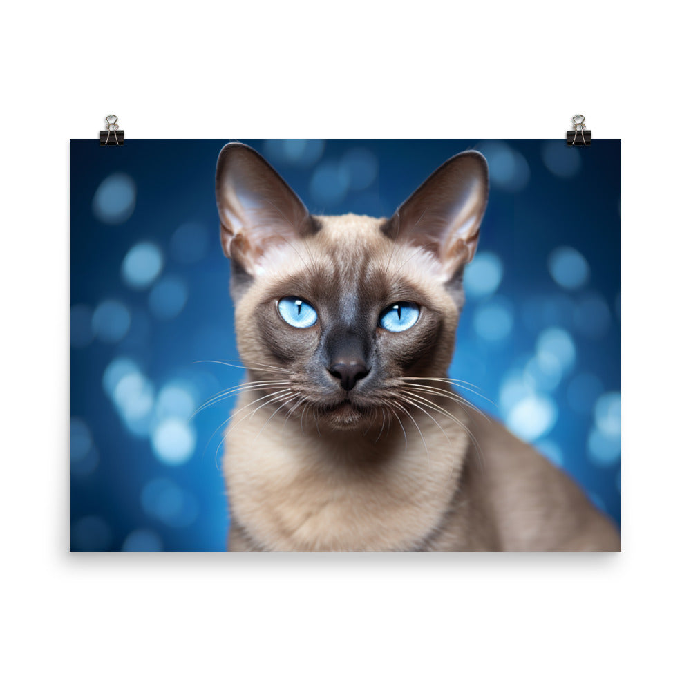 Tonkinese Photo paper poster - PosterfyAI.com