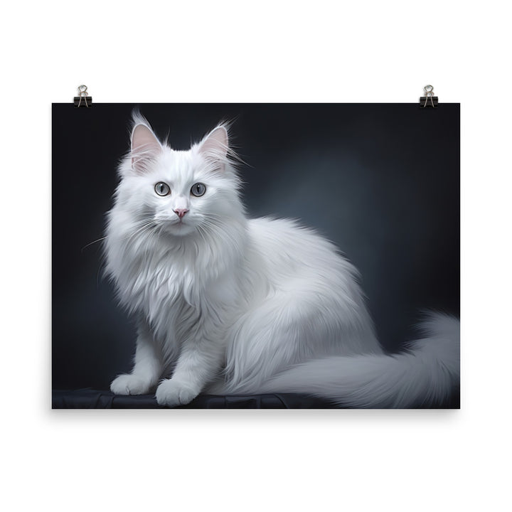 Turkish Angora Photo paper poster - PosterfyAI.com