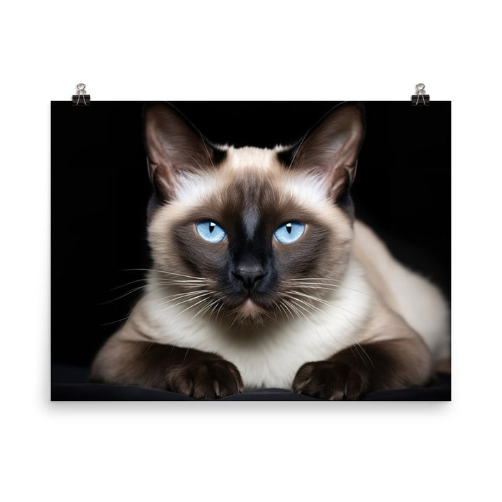 Siamese Photo paper poster - PosterfyAI.com