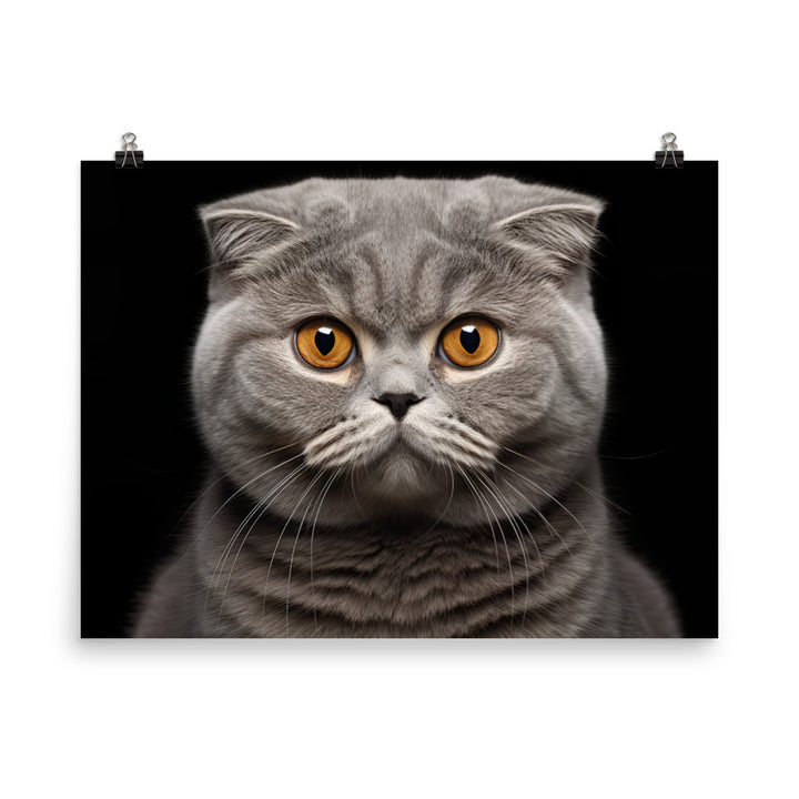 Scottish Fold Photo paper poster - PosterfyAI.com