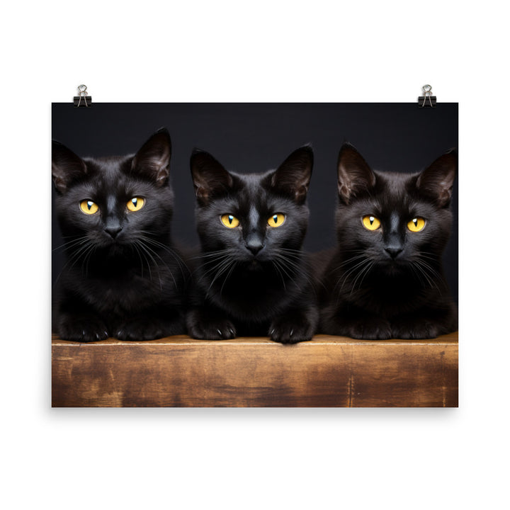 Bombay Photo paper poster - PosterfyAI.com