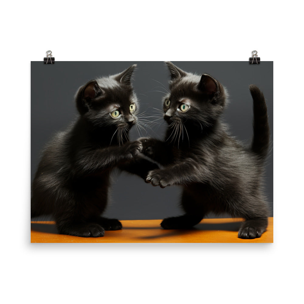 Bombay Photo paper poster - PosterfyAI.com