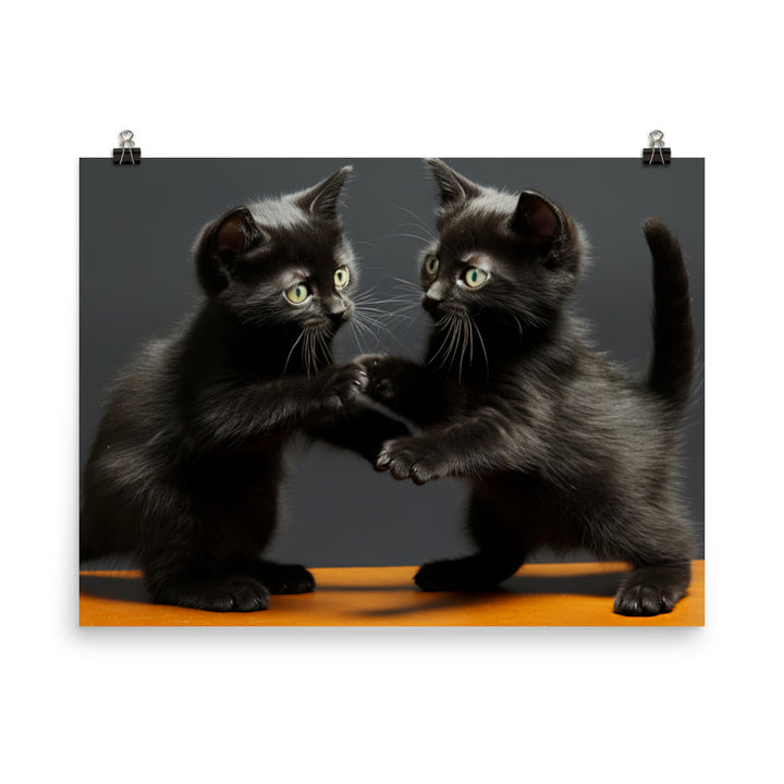 Bombay Photo paper poster - PosterfyAI.com