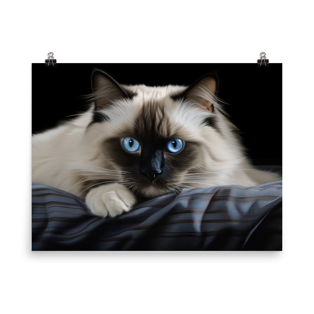 Birman Photo paper poster - PosterfyAI.com