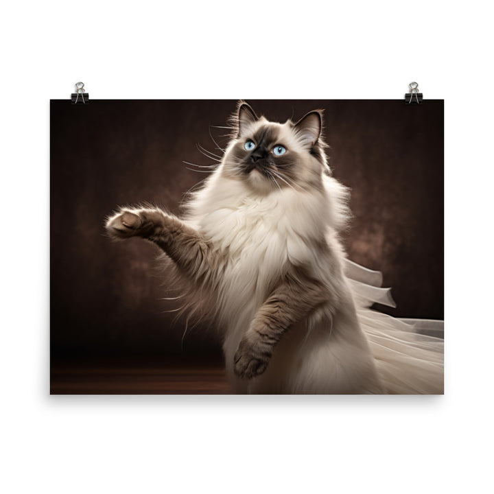 Birman Photo paper poster - PosterfyAI.com