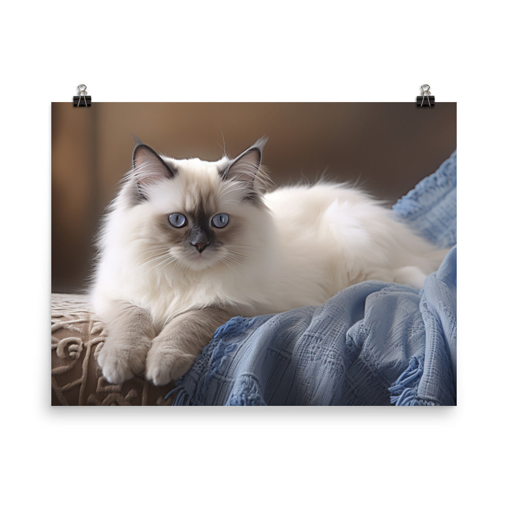 Birman Photo paper poster - PosterfyAI.com