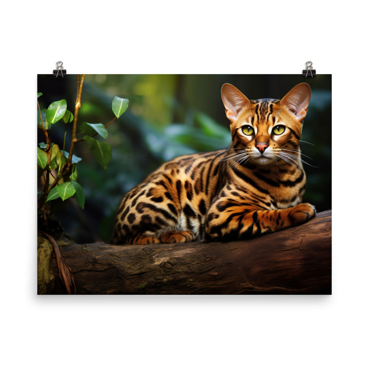 Bengal Photo paper poster - PosterfyAI.com