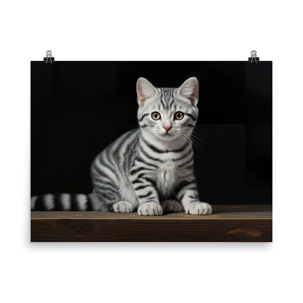 American Shorthair Photo paper poster - PosterfyAI.com