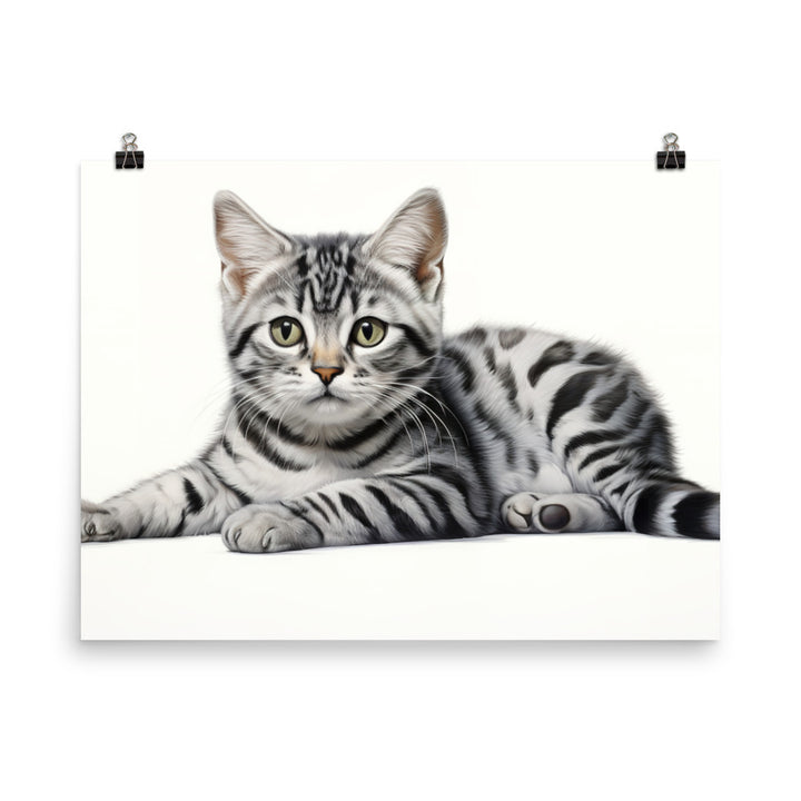 American Shorthair Photo paper poster - PosterfyAI.com