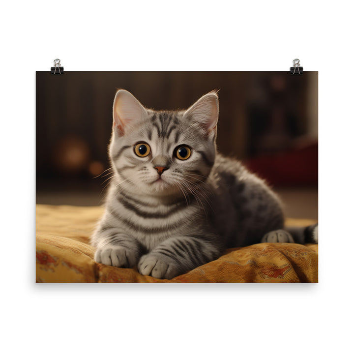 American Shorthair Photo paper poster - PosterfyAI.com