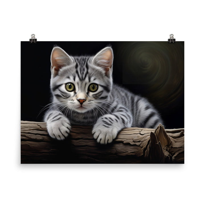 American Shorthair Photo paper poster - PosterfyAI.com
