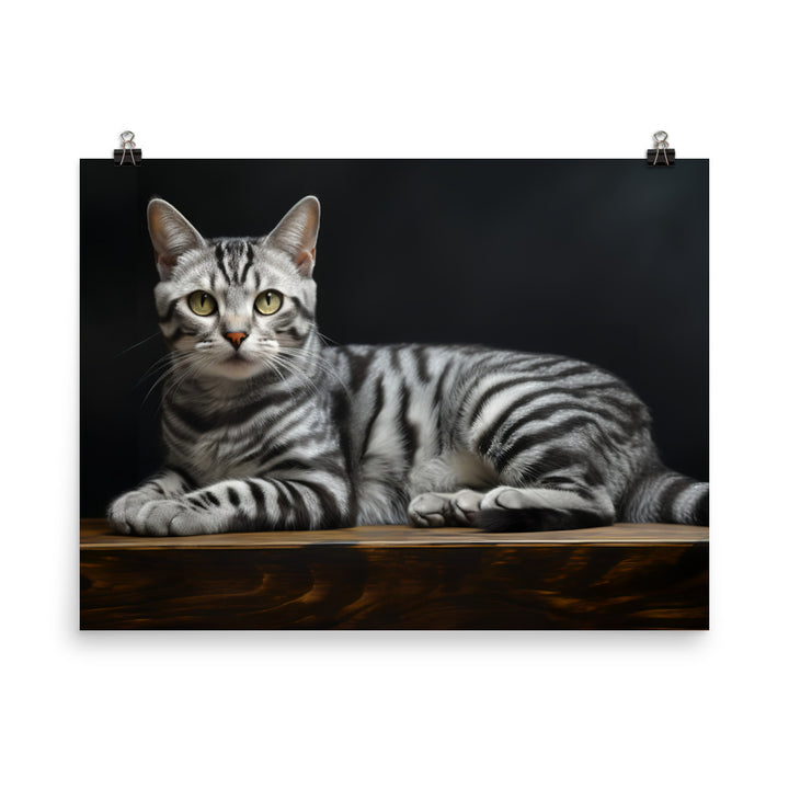 American Shorthair Photo paper poster - PosterfyAI.com