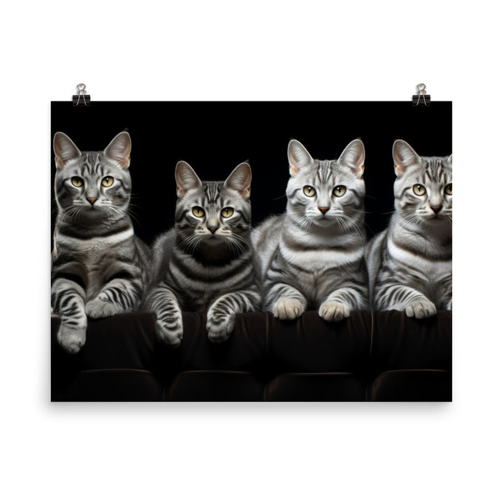 American Shorthair Photo paper poster - PosterfyAI.com