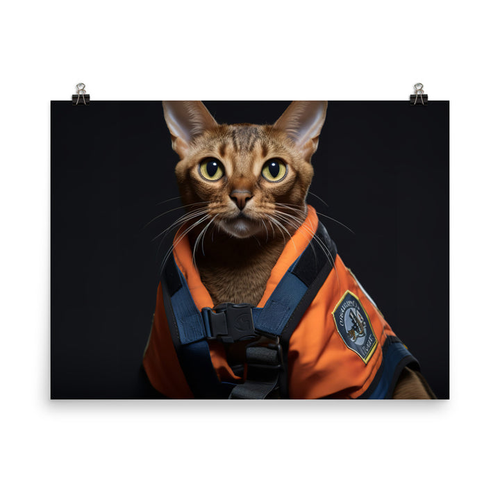 Abyssinian Paramedic Photo paper poster - PosterfyAI.com