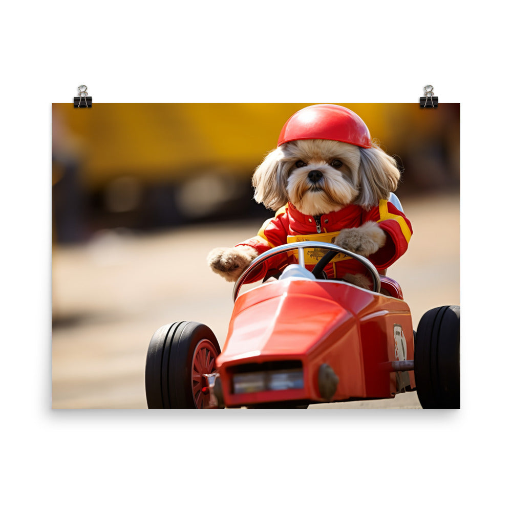 Lhasa Apso Motorsport Athlete Photo paper poster - PosterfyAI.com