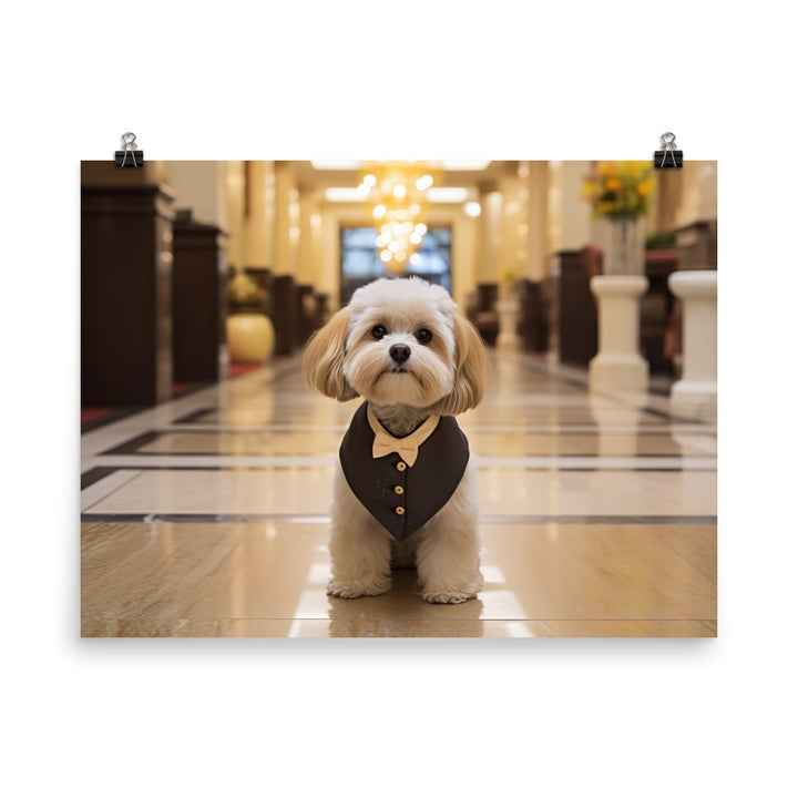 Lhasa Apso Hotel Staff Photo paper poster - PosterfyAI.com