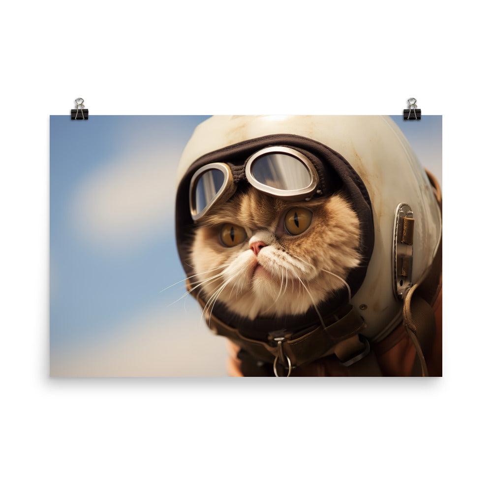 Exotic Shorthair Pilot Photo paper poster - PosterfyAI.com