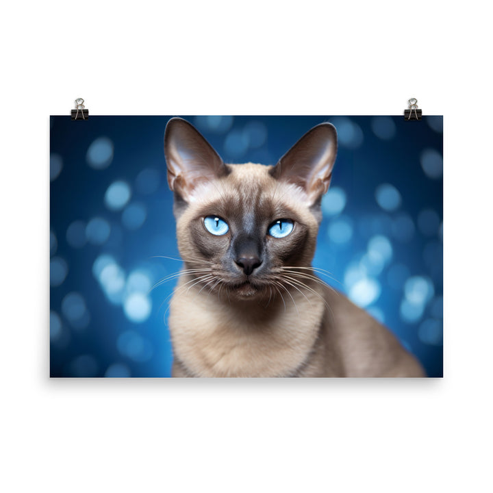 Tonkinese Photo paper poster - PosterfyAI.com