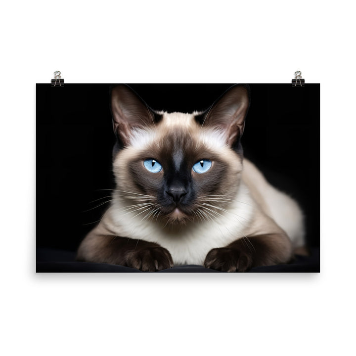 Siamese Photo paper poster - PosterfyAI.com