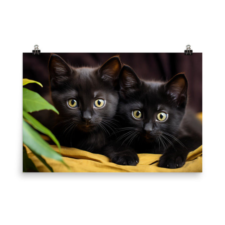 Bombay Photo paper poster - PosterfyAI.com